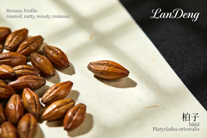 Raw Cypress Seed (Platycladus orientalis) botanical material, editorial still life