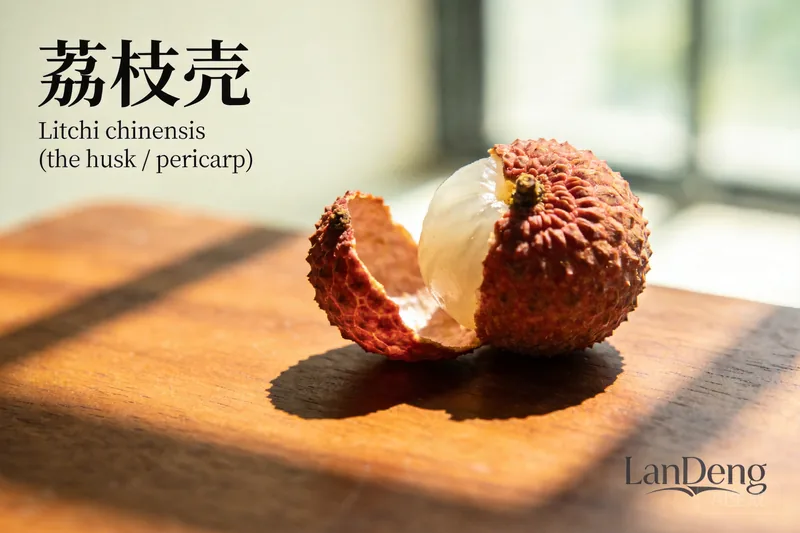 Raw Litchi Husk (Litchi chinensis (the husk / pericarp)) material, editorial still life