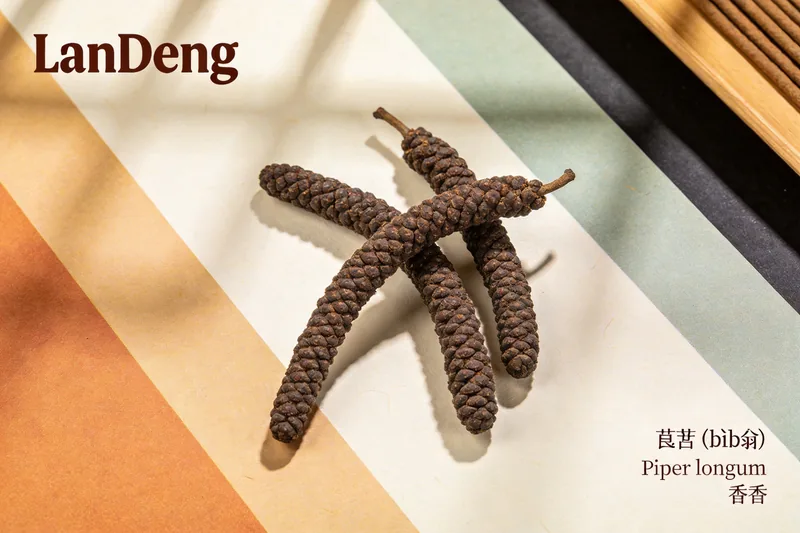 Raw Long Pepper (Piper longum) material, editorial still life