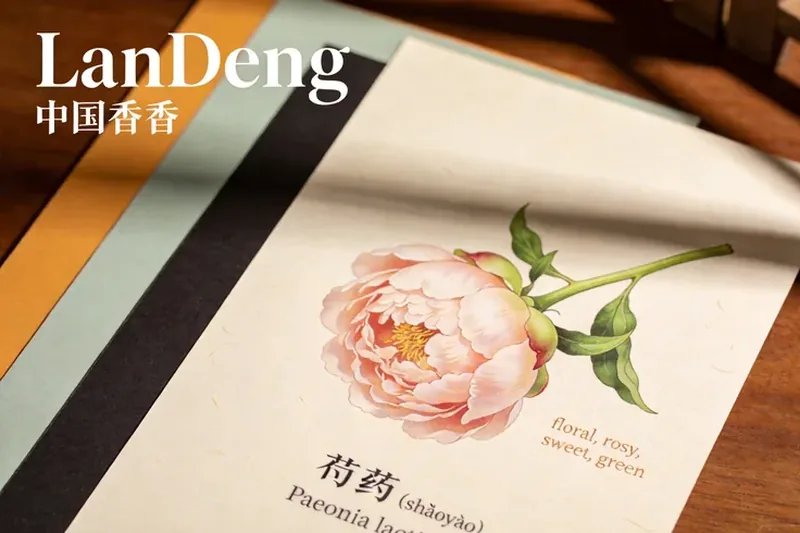 Raw Peony (Paeonia lactiflora) botanical material, editorial still life