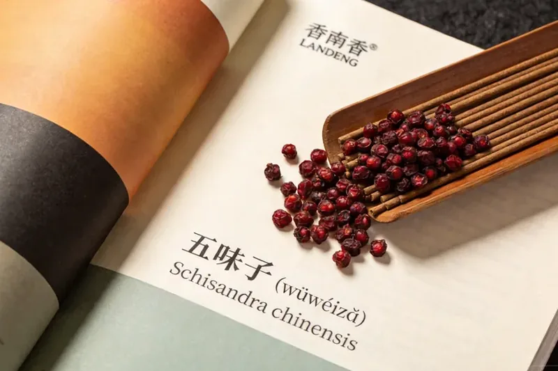Raw Schisandra (Schisandra chinensis) berry material, editorial still life