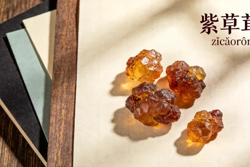 Raw Shellac (Kerria lacca (lac insect; formerly Laccifer lacca) — lac resin) material, editorial still life