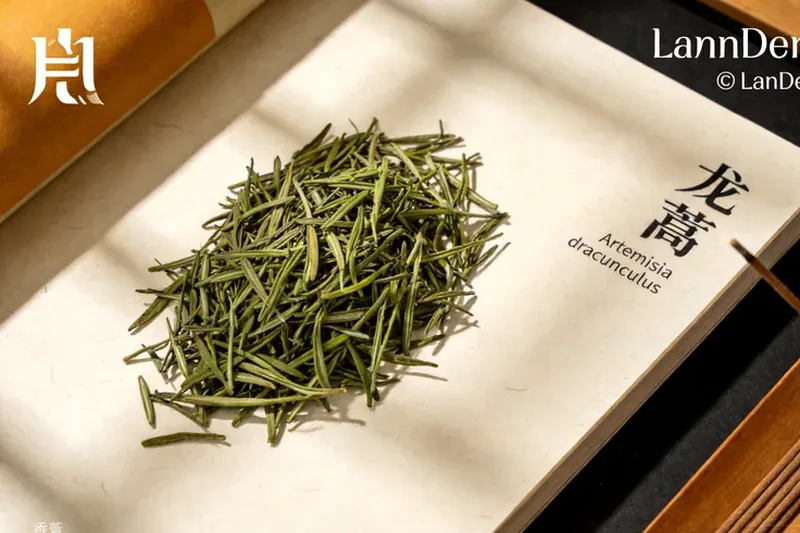 Raw Tarragon (Artemisia dracunculus) material, editorial still life