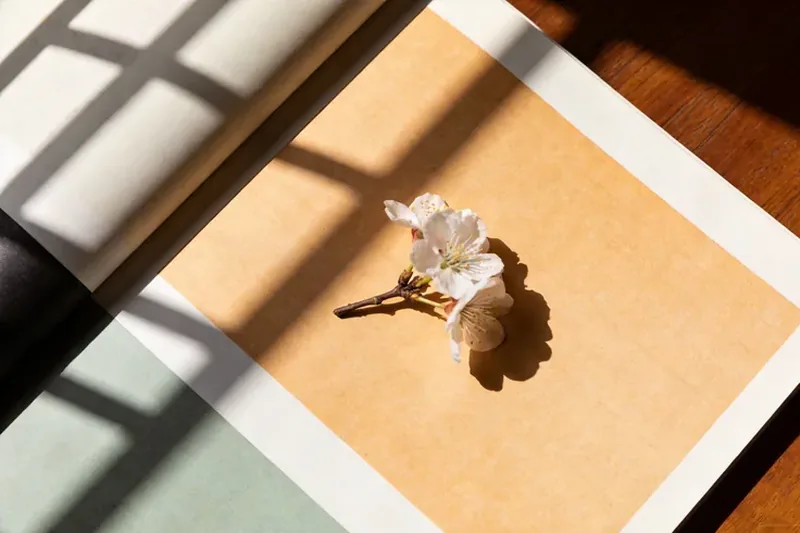 Raw Ylang-Ylang (Cananga odorata) flower material, editorial still life